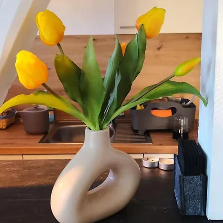 Hochsitz In Schonach شقة سخوناخ