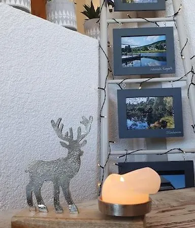 شقة Hochsitz In Schonach *