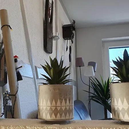 شقة Hochsitz In Schonach